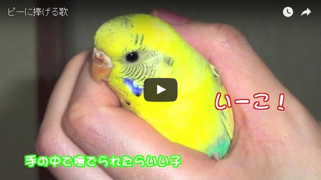 ピーに捧げる歌